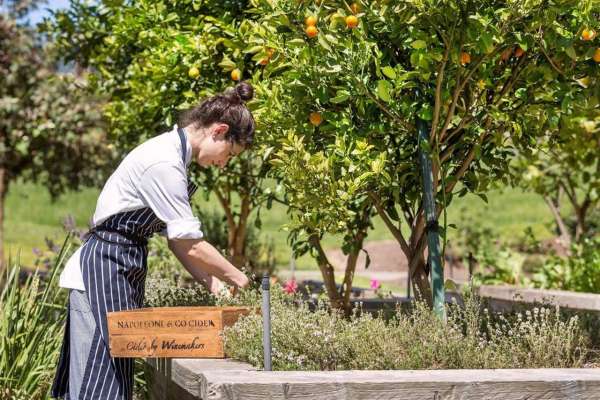 YarraValleyLodge-KitchenGarden.jpg