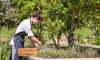 YarraValleyLodge-KitchenGarden.jpg