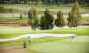 YarraValleyLodge-Golf.jpg